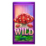 WILD เกม 9 POT OF GOLD MEGAWAYS ค่าย MICROGAMING SLOT