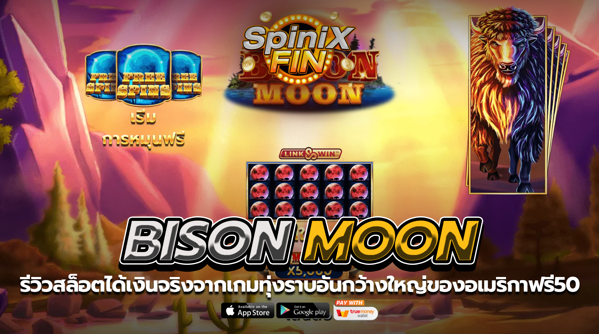 BISON MOON ทุ่งราบอันกว้างใหญ่ของอเมริกาฟรี50