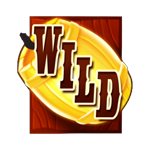WILD เกม BIG BOOM RICHES ค่าย MICROGAMING SLOT